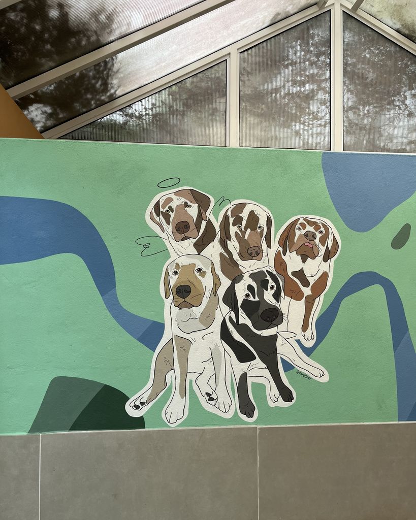 pets em gramado