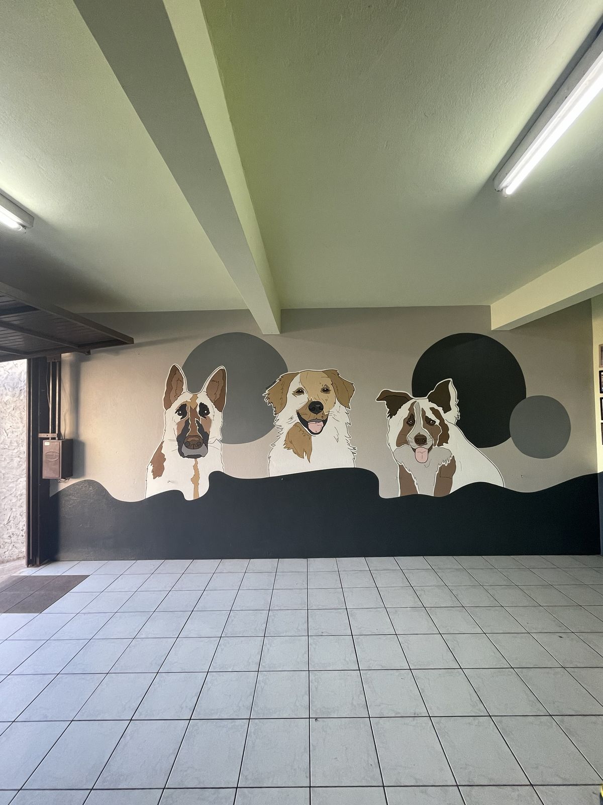 Mural retrato pet - trio de cães